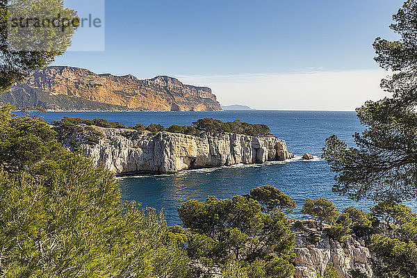 Blick über die Calanque de Port Pin und Cap Canaille  Calanques-Nationalpark  Cassis  Bouches du Rhone  Provence  Frankreich  Mittelmeer  Europa