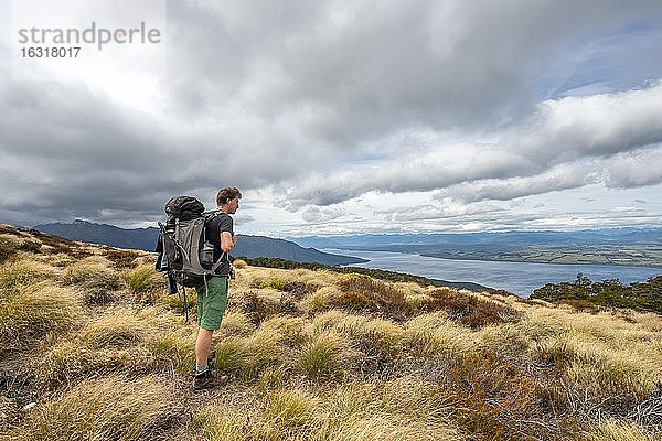 Wanderer blickt auf See Te Anau und Southfiord  Kepler Track  Fiordland Nationalpark  Southland  Südinsel  Neuseeland  Ozeanien