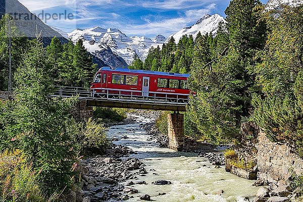 Zug der Berninabahn im Morteratschtal mit Bellavista und Piz Bernina  Pontresina  Berninaalpen  Oberengadin  Engadin  Graubünden  Schweiz  Europa