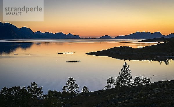 Silhouette einer Bergkette im Dämmerlicht an einem Fjord  vorne Nadelbäume  Engavågen  Nordland  Norwegen  Europa