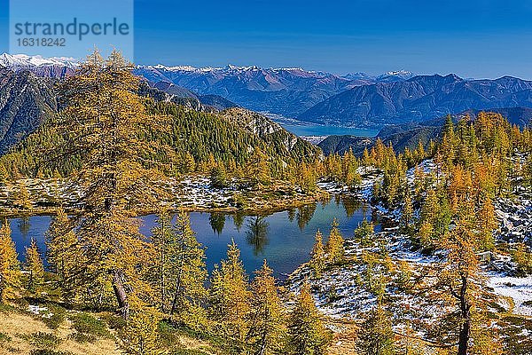 Bergsee umgeben von herbstfarbenen Lärchen (Alpe Salei)  Tal Onsernone  Kanton Tessin  Schweiz  Europa