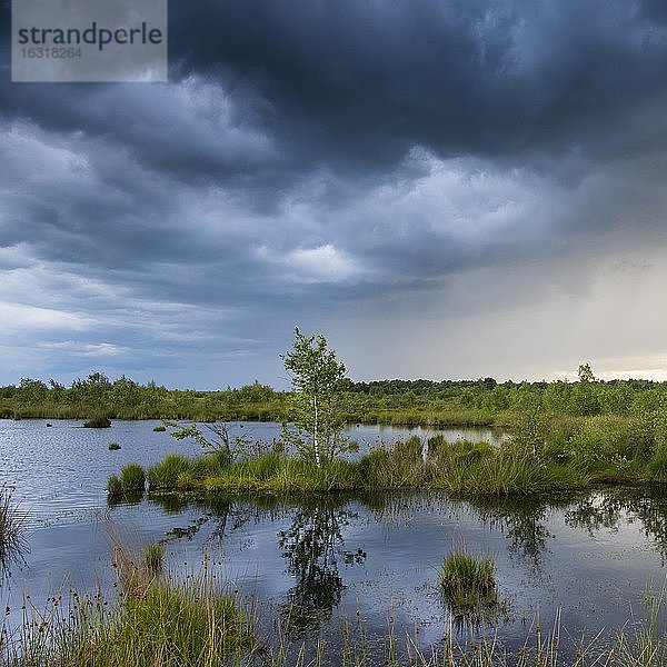 Gewitterwolken ziehen auf über dem Goldenstedter Moor  Wetter  bedrohlich  Oldenburger Münsterland  Niedersachsen  Deutschland  Europa