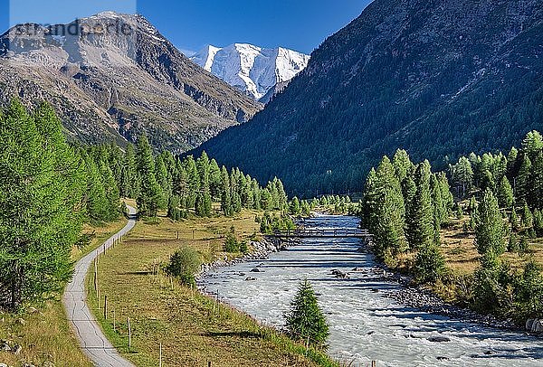 Berninatal mit Berninabach und Piz Palü  Pontresina  Berninaalpen  Oberengadin  Engadin  Graubünden  Schweiz  Europa