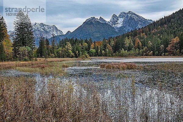 Taubensee mit Watzmann und Hochkalter  Ramsau  Berchtesgadener Alpen  Berchtesgadener Land  Oberbayern  Bayern  Deutschland  Europa