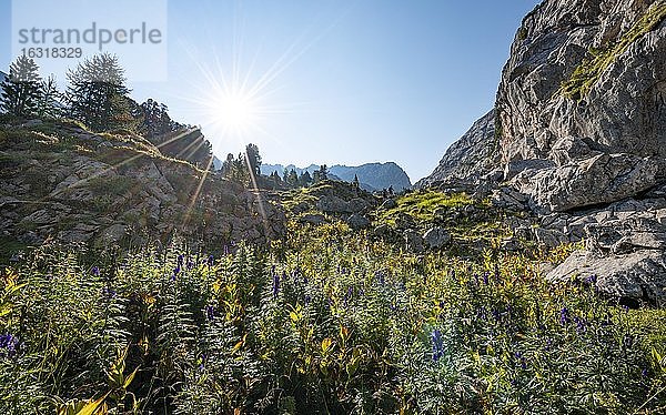 Karstlandschaft  Berglandschaft  Stuhlgraben  hinten Grießkogel  Steinernes Meer  Funtenseetauern  Nationalpark Berchtesgaden  Berchtesgadener Land  Oberbayern  Bayern  Deutschland  Europa