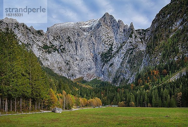 Scharitzkehlalm mit Hoher Göll am Obersalzberg  Berchtesgaden  Berchtesgadener Alpen  Berchtesgadener Land  Oberbayern  Bayern  Deutschland  Europa