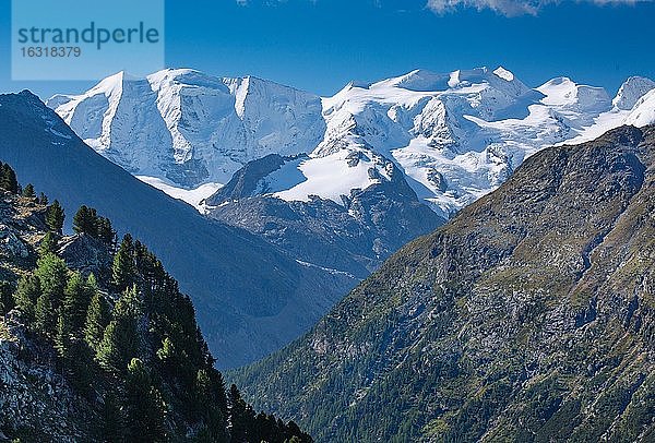 Piz Palü und Bellavista über dem Berninatal  Pontresina  Berninaalpen  Oberengadin  Engadin  Graubünden  Schweiz  Europa