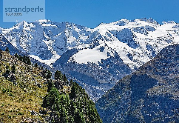 Piz Palü und Bellavista über dem Berninatal  Pontresina  Berninaalpen  Oberengadin  Engadin  Graubünden  Schweiz  Europa