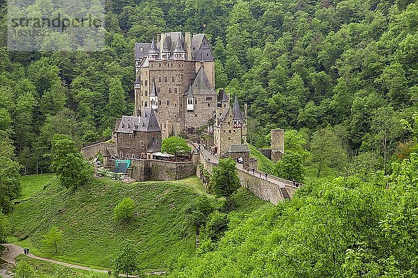 Burg Eltz umgeben von grünem Wald  Burg Eltz  Rheinland-Pfalz  Deutschland  Europa