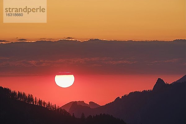 Sonnenaufgang am Sudelfeld  bei Bayrischzell  Mangfallgebirge  Oberbayern  Bayern  Deutschland  Europa