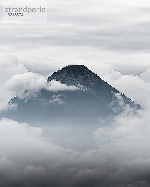 Vulkan umgeben von Wolken  Volcan Pacaya  Guatemala  Mittelamerika