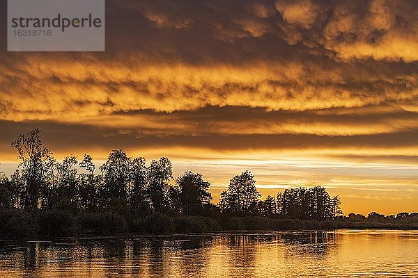 Sonnenuntergang an der Peene  Naturpark Flusslandschaft Peenetal  Mecklenburg-Vorpommern  Deutschland  Europa