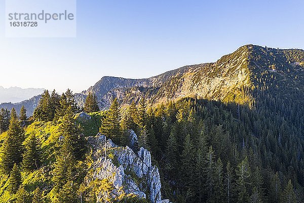 Gipfelkreuz am Berg Vogelsang  rechts Kleiner Traithen  am Sudelfeld bei Bayrischzell  Mangfallgebirge  Drohnenaufnahme  Oberbayern  Bayern  Deutschland  Europa