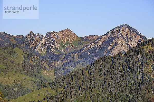 Rotwand und Hochmiesing  Blick vom Sudelfeld  bei Bayrischzell  Mangfallgebirge  Oberbayern  Bayern  Deutschland  Europa