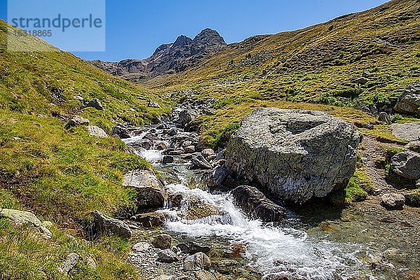 Bergbach im Languardtal  Val Languard  Pontresina  Berninaalpen  Oberengadin  Engadin  Graubünden  Schweiz  Europa