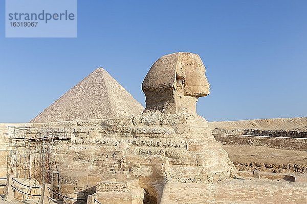 Die große Sphinx mit der Cheopspyramide im Hintergrund  Gizeh  Kairo  Ägypten  Afrika