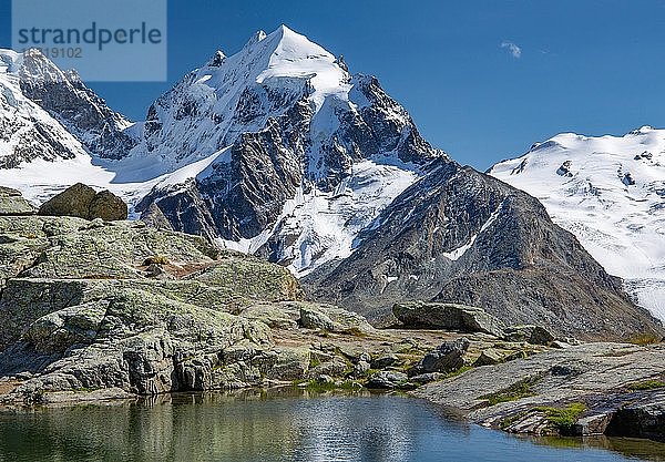 Kleiner Bergsee auf Fuorcla Surlej mit Piz Roseg  Silvaplana  Berninaalpen  Oberengadin  Engadin  Graubünden  Schweiz  Europa