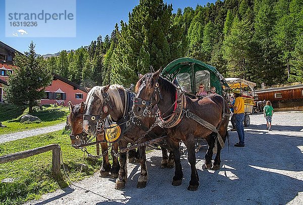Pferdekutsche im Rosegtal  Val Roseg beim Ausflugsgasthof  Pontresina  Berninaalpen  Oberengadin  Engadin  Graubünden  Schweiz  Europa