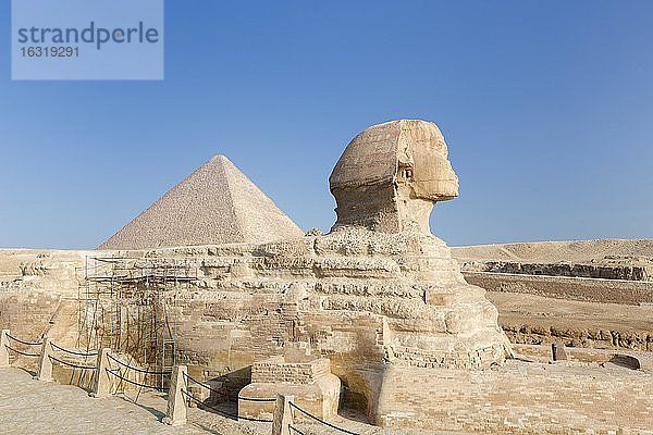 Die große Sphinx mit der Cheopspyramide im Hintergrund  Gizeh  Kairo  Ägypten  Afrika