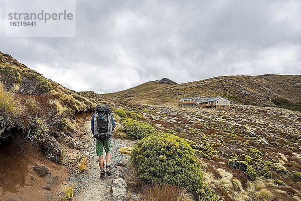 Wanderer auf Kepler Track  Luxmore Hut  Fiordland Nationalpark  Southland  Südinsel  Neuseeland  Ozeanien