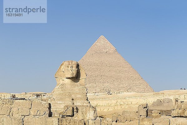 Die große Sphinx mit der Pyramide von Khafre im Hintergrund  Gizeh  Kairo  Ägypten  Afrika