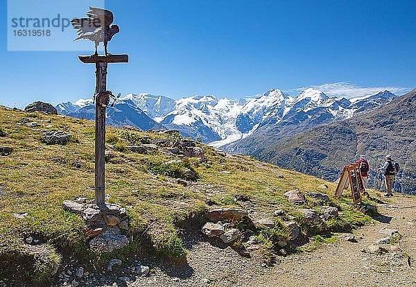 Aussichtspunkt bei der Paradishütte mit Piz Palü  Bellavista und Piz Bernina über dem Berninatal  Pontresina  Berninaalpen  Oberengadin  Engadin  Graubünden  Schweiz  Europa