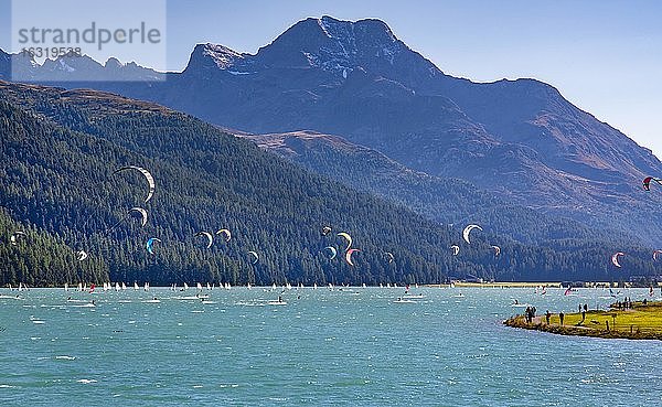 Silvaplanersee mit Kitesurfern und Segelbooten  Silvaplana  Inntal  Berninaalpen  Oberengadin  Engadin  Graubünden  Schweiz  Europa