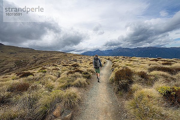Wanderer auf Kepler Track  Fiordland Nationalpark  Southland  Südinsel  Neuseeland  Ozeanien