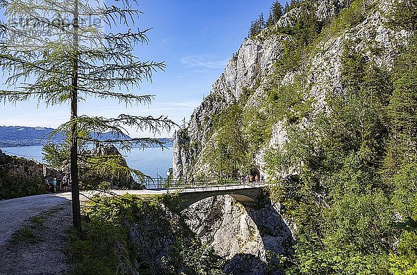 Brücke über den Lainaugraben am Berg Traunstein  Traunsee  Gmunden  Salzkammergut  Oberösterreich  Österreich  Europa