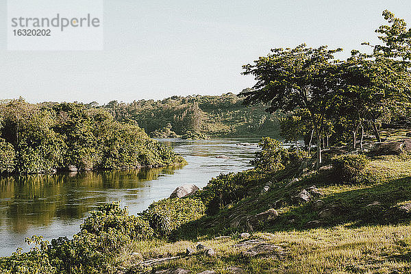 Sonnige Aussicht auf den Nil  Ginger  Uganda