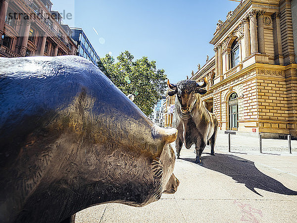Deutschland  Frankfurt  Bullen- und Bärenskulpturen aus Bronze an der Börse