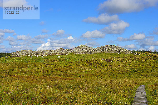 Vereinigtes Königreich  Schottland  Highland  Lybster  Cairns von Camster  Grabkammern