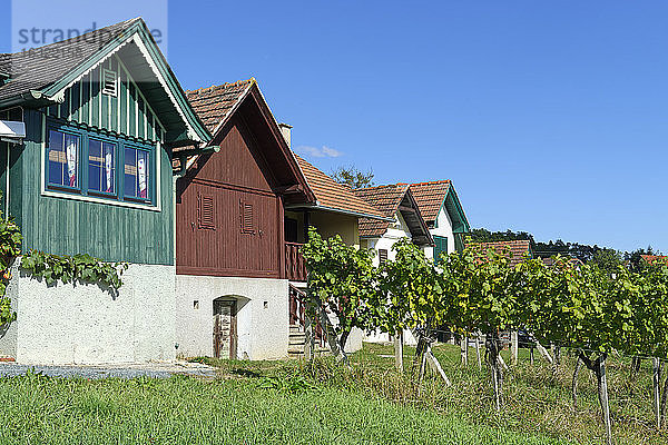 Österreich  Burgenland  Kohfidisch  Csaterberg  Dorf mit rustikalen Häusern