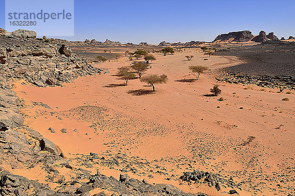 Algerien  Sahara  Tassili N'Ajjer National Park  Tadrart Region  Felsental