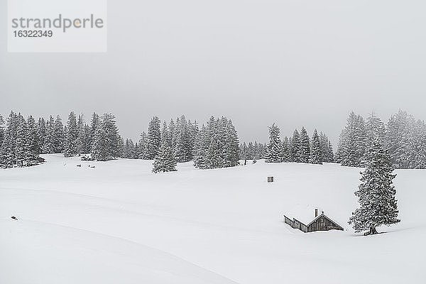 Schweiz  Kanton St. Gallen  Alp Toggenburg  Alp über Alt St. Johann im Winter