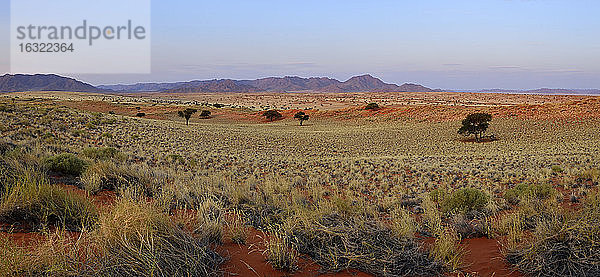 Afrika  Namibia  Namib-Wüste  Blick über das Namib Rand Naturreservat im Abendlicht  Panorama