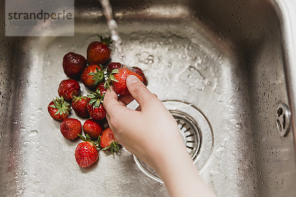 Handwäsche von Erdbeeren im Waschbecken