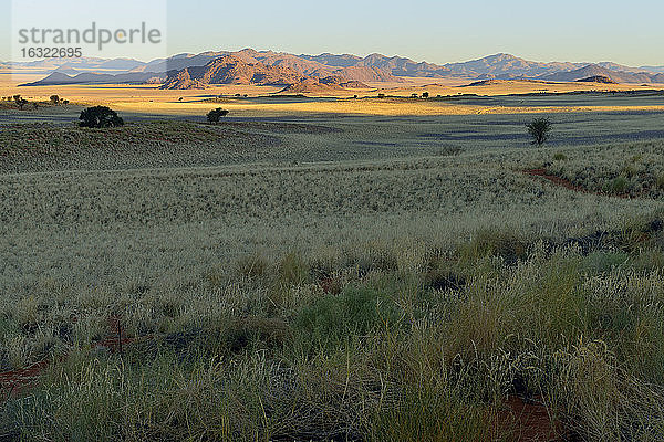 Namibia  Namib-Wüste  Landschaft im NamibRand-Naturreservat