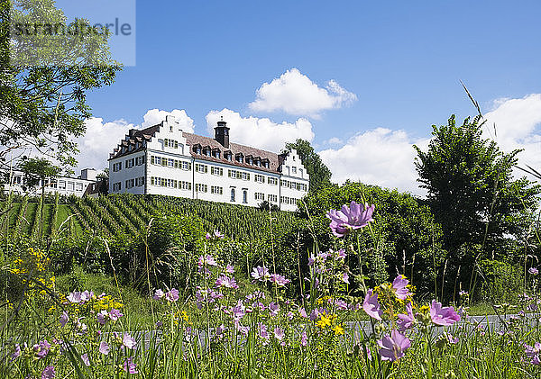 Deutschland  Immenstaad  Schloss Hersberg