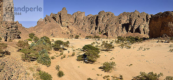 Afrika  Algerien  Sahara  Tassili N'Ajjer National Park  Oued Essendilene  Panorama