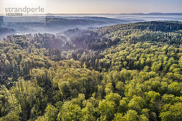 Deutschland  Baden-Württemberg  Schwäbische Alb  Nassachtal und Filstal  Luftaufnahme von Wald und Nebel