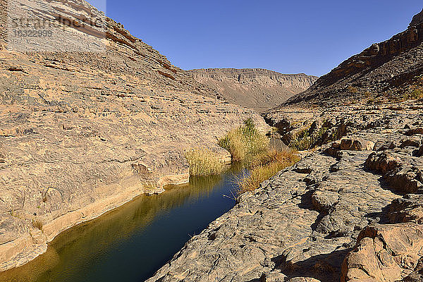 Afrika  Algerien  Tassili N'Ajjer National Park  Iherir  Wasser in einem Guelta in der Idaran-Schlucht