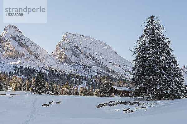 Schweiz  Kanton St. Gallen  bei Toggenburg  Alt St. Johann  Blick auf die Churfirsten im Winter