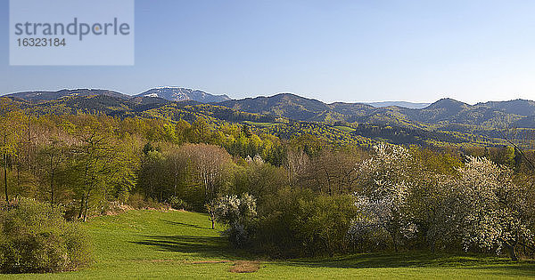 Deutschland  Baden-Württemberg  bei Freiburg  Breisgau  Schwarzwald  Blick vom Schönberg zum Belchen