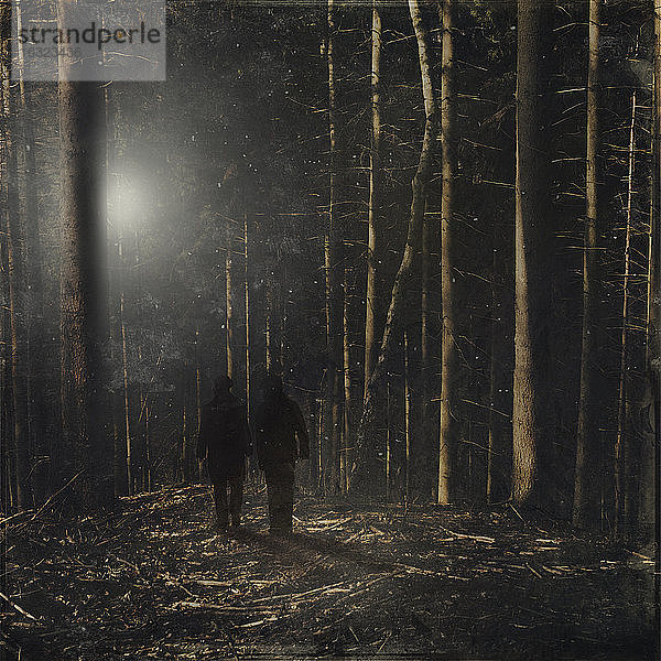 Deutschland  bei Wuppertal  zwei Personen im Wald  Digital Composite
