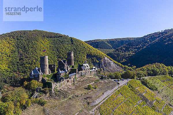 Deutschland  Rheinland-Pfalz  Mayen-Koblenz  Mosel  Stadt Alken  Burg Thurant  Weinberg