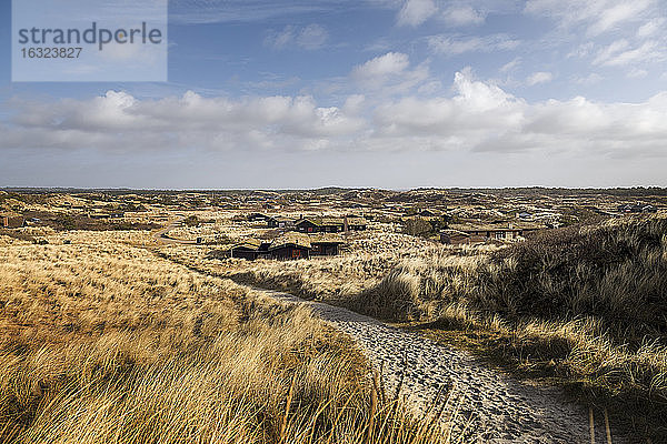 Dänemark  Henne Strand  Dünenlandschaft