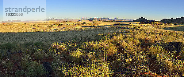 Afrika  Namibia  Namib-Wüste  Blick über das Namib Rand Naturreservat  Panorama