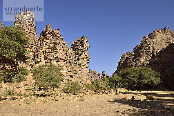 Algerien Nationalpark Tassili n'Ajjer  Oued Essendilene  Oued Essendilene