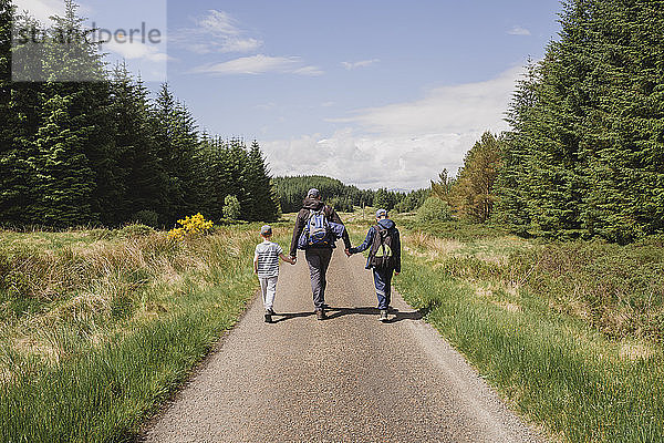 Rückenansicht eines Vaters  der Hand in Hand mit seinen Söhnen auf einer Landstraße spazieren geht  Cairngorms  Schottland  UK